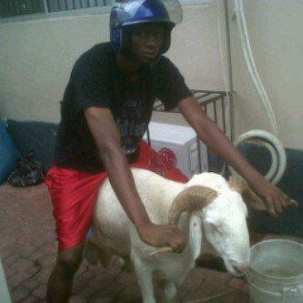 MaybackMusicGrp's tweet photo. Who needs an R6 homie? We passed brake horsepower haha http://t.co/xco7TzqW