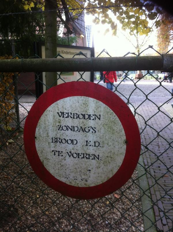 Pieter Omtzigt tweet media