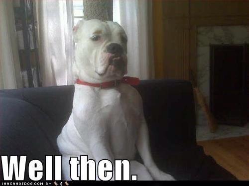 GoogleImages3's tweet image. Well then...