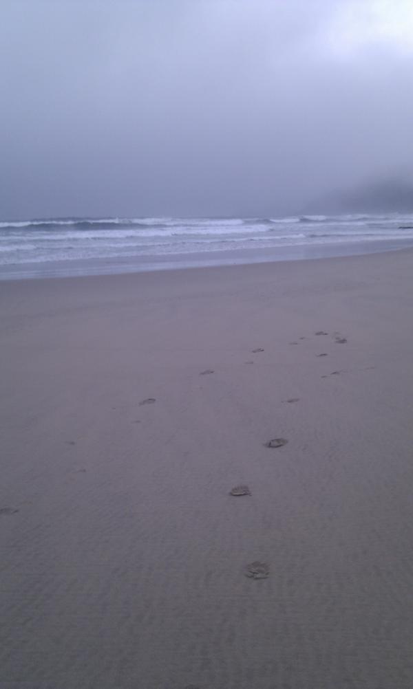tankispelanki's tweet photo. 5am heroldsbay @TerriAnne_E http://t.co/9woNYHll
