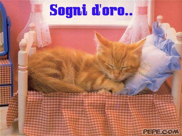 claverit's tweet photo. @ronpaola Notte e sogni d'oro :-) http://t.co/IfYPD0P5