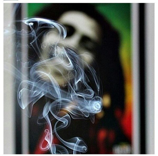 Mamas1310's tweet photo. Inhale the good shit, exhale the bullshit.
🍁 http://t.co/igrLVwyr
