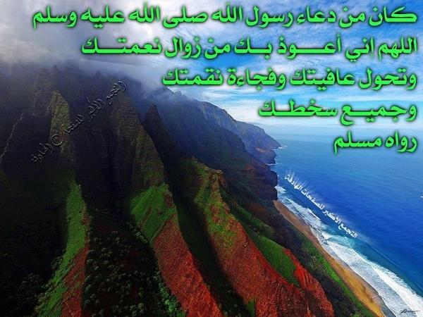 Omar tweet media