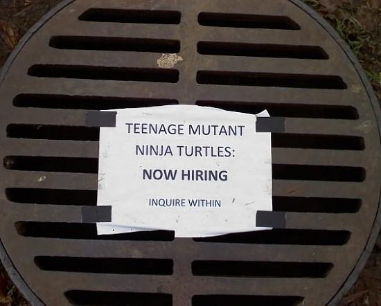 TurtleBatman's tweet image. Now hiring!