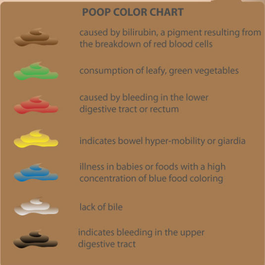 Poo Colour Chart