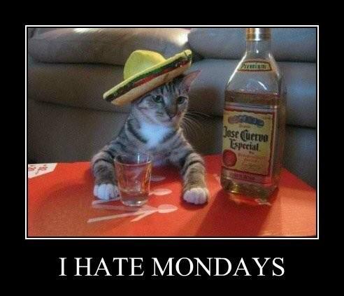 RulesPub tweet picture