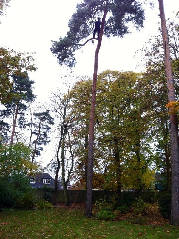 I challenge anyone to even try and say they have bigger balls than this man up there!