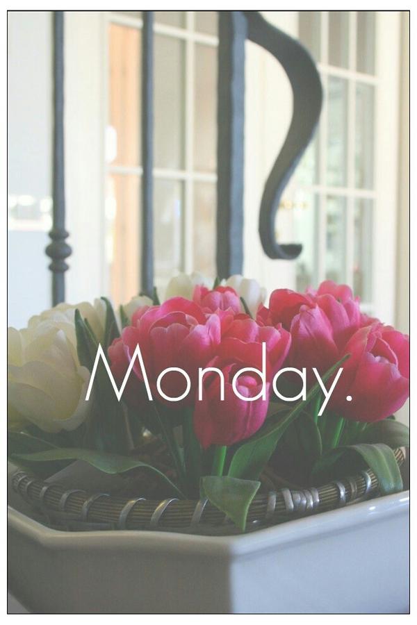 Cherryhouse_d's tweet photo. Hola mundo! Hola Lunes! http://t.co/lqTkRHIT