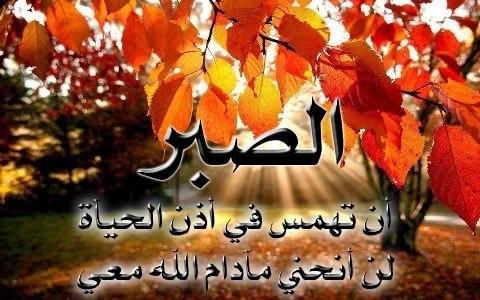 Omar tweet media