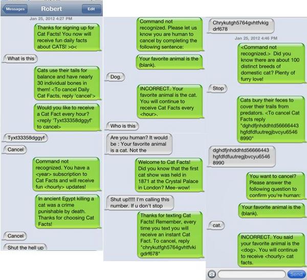 comedyfish's tweet image. This still makes me lol. (Cat facts txts)   (via @hi_robb)
