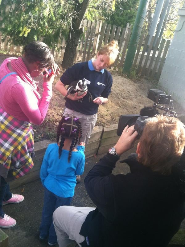 OneSimpleMorgan's tweet image. Penguin experience at the Camden Aquarium!!!