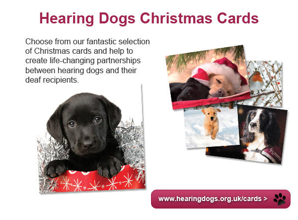 HearingDogs's tweet photo. Choose from our fantastic selection of Hearing Dogs Christmas cards. http://t.co/XJxztYHb http://t.co/gOdvFK9R