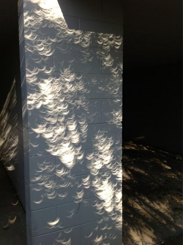 GeoKranium's tweet photo. @eclipse shadows in @Townsville. http://t.co/NxAvQja0