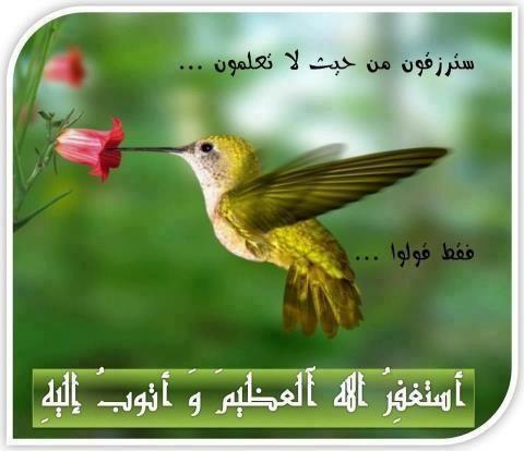 Omar tweet media