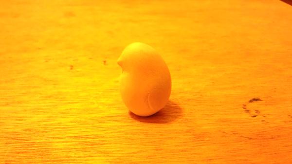 merimara3000's tweet photo. 久々に動物シリーズ彫ったら、なんとも言えないかわいらしい鳥さんができました！ http://t.co/Qzk8ZFNf