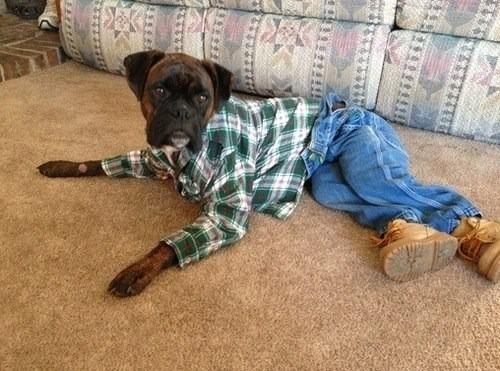 Hard day at work. So ready to chill out Infront of the telly.