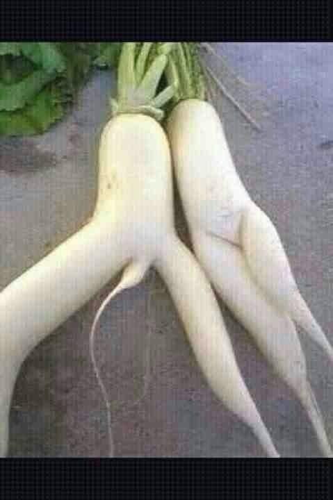 HE created ALL things in Pairs.....LITERALLY!
luv this pic! RT if u do too!
😃