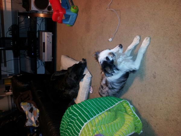 Lisa Rantala tweet media