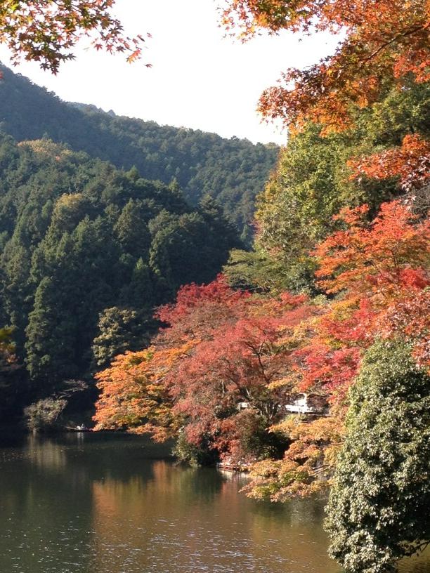 ちょこたび埼玉観光情報局 鎌北湖の紅葉情報です ご覧のように色付いてはいますが 見頃はもう少し先のようです 今日は武州長瀬駅から186号線で来ましたが 思いの他交通量が少なく比較的安心して走る事が出来ました スタッフ Oz Ucci