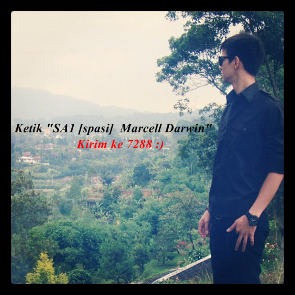 MichellMarcell's tweet photo. vote @MarcellDarwin ya mau lewat sms caranya kaya di pict ini bisa juga lewat http://t.co/ZFI2qYWq :) http://t.co/JUOyNgKP