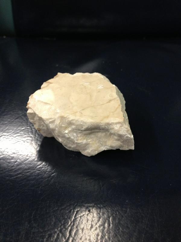 Jason D'Agrosa tweet media