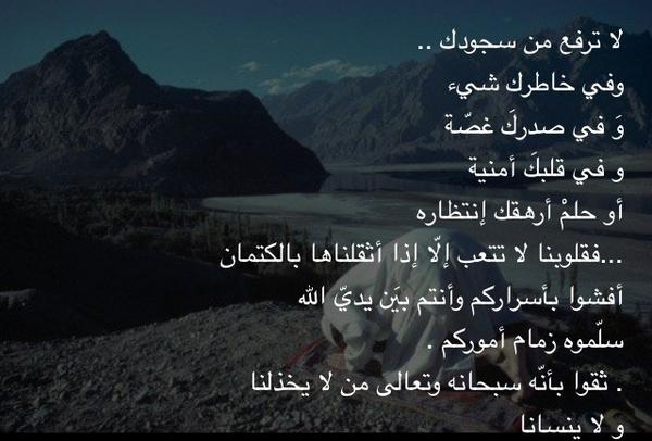 Omar tweet media
