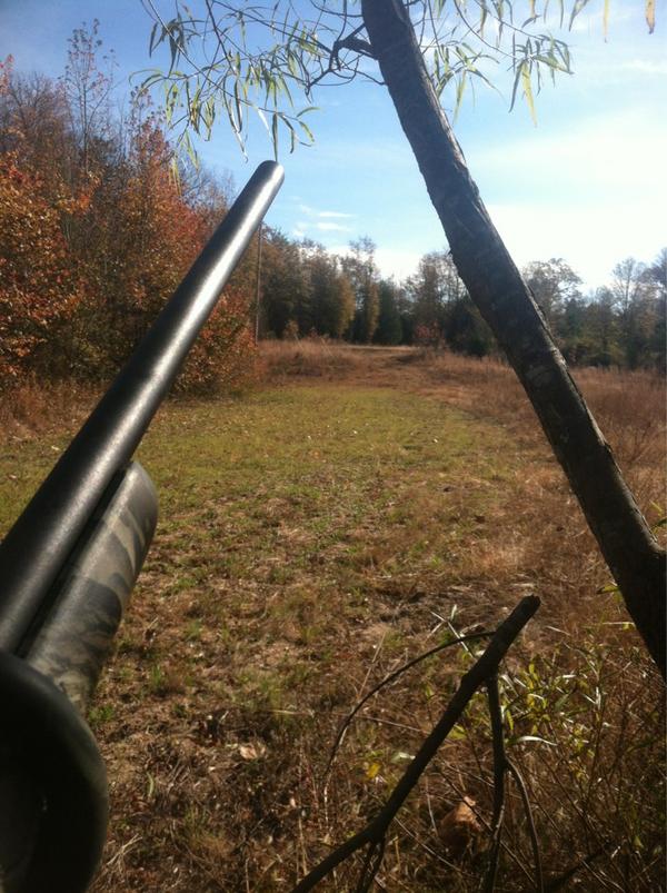 Daniel Surett tweet media