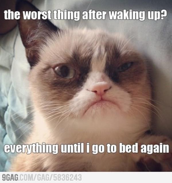 EstebanFyre's tweet photo. Everything and everybody (Get #9GagReader at http://t.co/bugXjKUe)@###p http://t.co/HvRkfjox