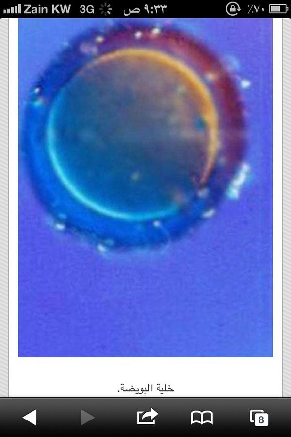 mrkocq8's tweet photo. خوش الصوره http://t.co/8edWeXc8