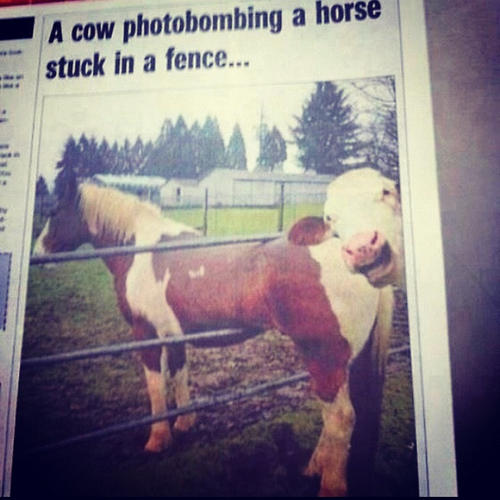 thewanted's tweet photo. This really happened.. #photobombed http://t.co/lxsAhRAo