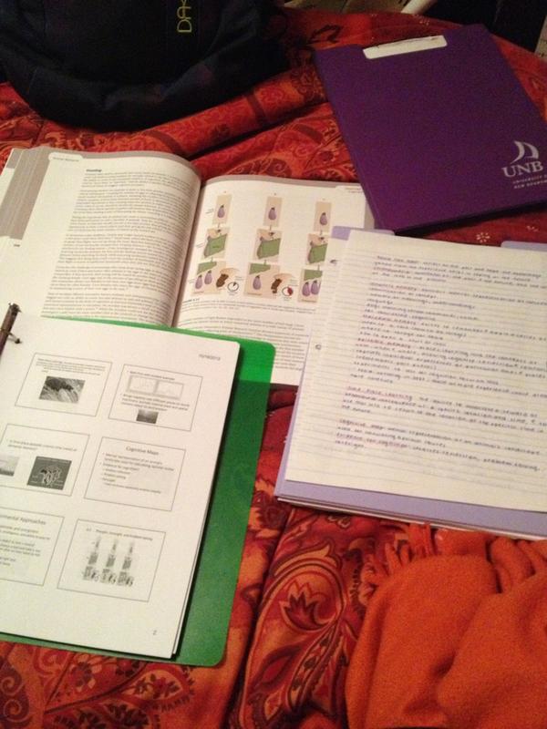 katemartt's tweet image. this is my current situation .. may look like productivity, but no no twitter friends #exactopposite #misleading