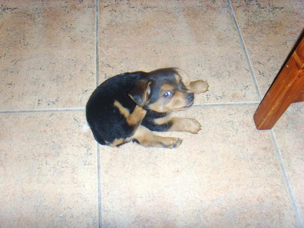 xico castello (@xicocastello) on Twitter photo 