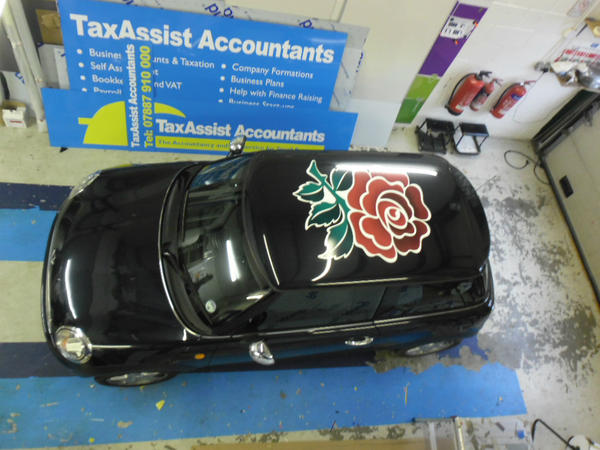 Have a look a lovely english rose on top of a mini