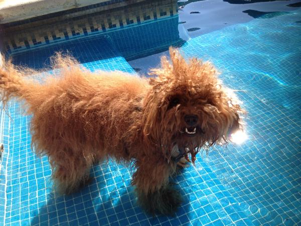 Oli despeinada y con calor