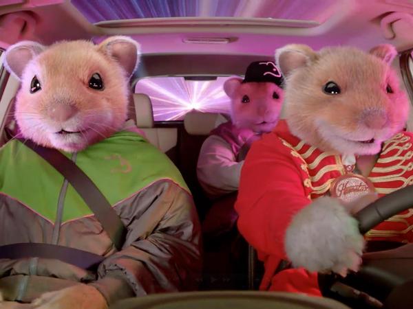 BramanKia's tweet photo. Come check out #Braman #Kia today! Ride off in style... Like these guys! #GoingHAM #Hamsters http://t.co/dUk7Ynvd