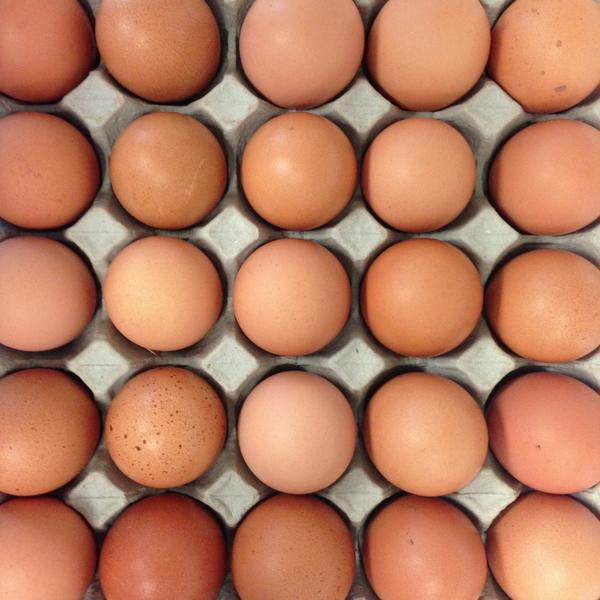 MojoAKL's tweet photo. Our friend Jene from Waitakaruru just dropped off our first trays of her real free range eggs for Viaduct and CG! http://t.co/HHaCifaR