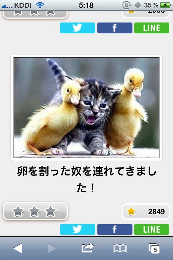 ボケて Bokete 面白画像bot 連行 T Co W35ydfo69n