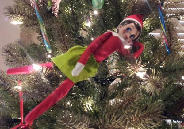 PinkSparkleBlue's tweet image. So tired. I think I'll rest right here in this tree before I need to fly to the north pole later tonight.