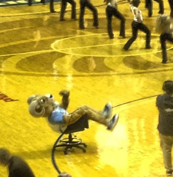 cmakriss's tweet image. Best mascot ever #rhody #getrammed