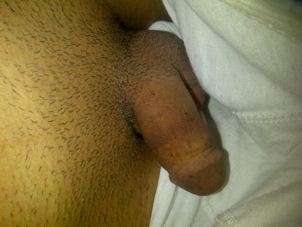 mostfakhbrani's tweet photo. @Hleem1 ماودك تمص ذبي نايم http://t.co/dUTZiNJe