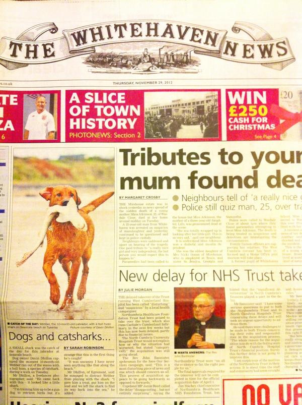 My 10mth Labrador is front page news...