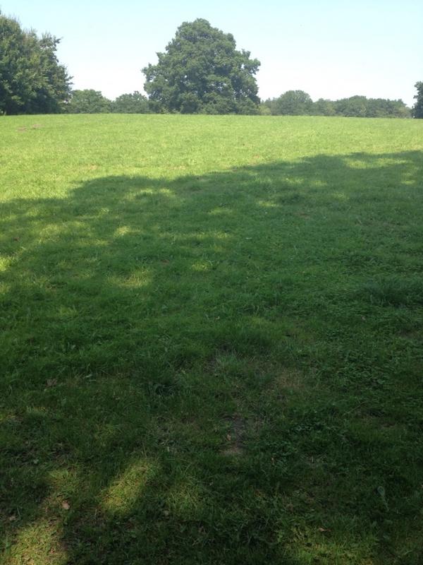 JHLRees's tweet image. My legs &amp;amp; lungs will be burning soon - hill sprints in some winter sun! #HIIT #projectleanmachine