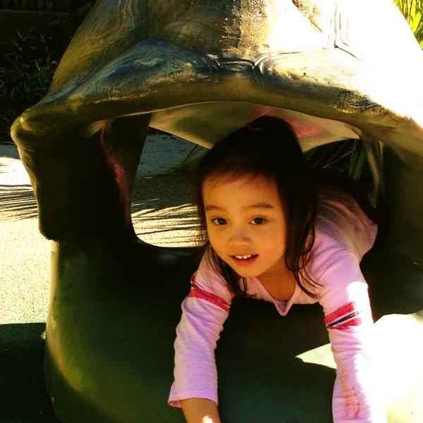 celee's tweet photo. Ava as a turtle http://t.co/gkjcz5vp