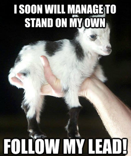 AngstEChicken's tweet photo. Learn from example; Prosperity is just around the corner! http://t.co/5avbbBEF