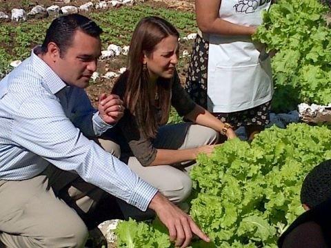 RenanBarrera's tweet photo. Rábano, lechuga, cilantro, remolacha. Primera cosecha del huerto urbano Renacimiento #DIFMerida saludos  @NetMinders1 http://t.co/uxn4hGKr