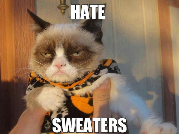TardGrumpyCat's tweet image. There's always #ThatOneKidInClass who wears ugly sweaters... HATE SWEATERS.
