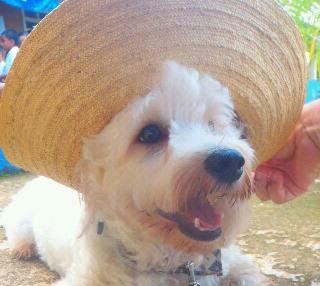 #amomipanama Kenneth Danté luciendo un hermoso sombrero haciendo patria