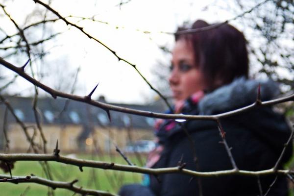Grove_Rd_Photo's tweet photo. Love this wintery photo: 23/11/12 http://t.co/nTwjX9R2