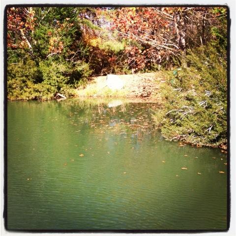 Steven_1Taylor's tweet image. #WorkplaceProbs