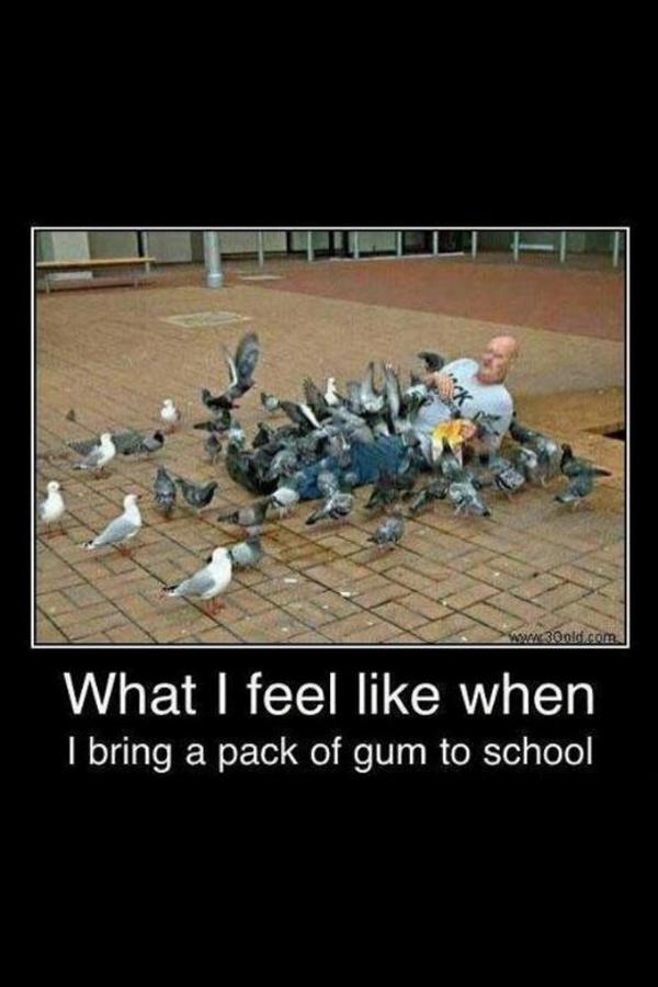 ROFLPICS1 tweet picture